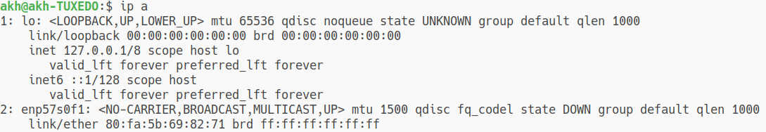 Linux cmd ip address show