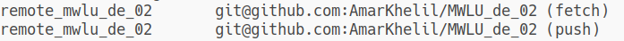 remote github repo mwlu_de_02